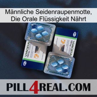 Männliche Seidenraupenmotte, Die Orale Flüssigkeit Nährt viagra5